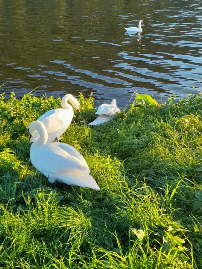 Ferienwohnungen Am Moselbeach Mehring  Buitenkant foto