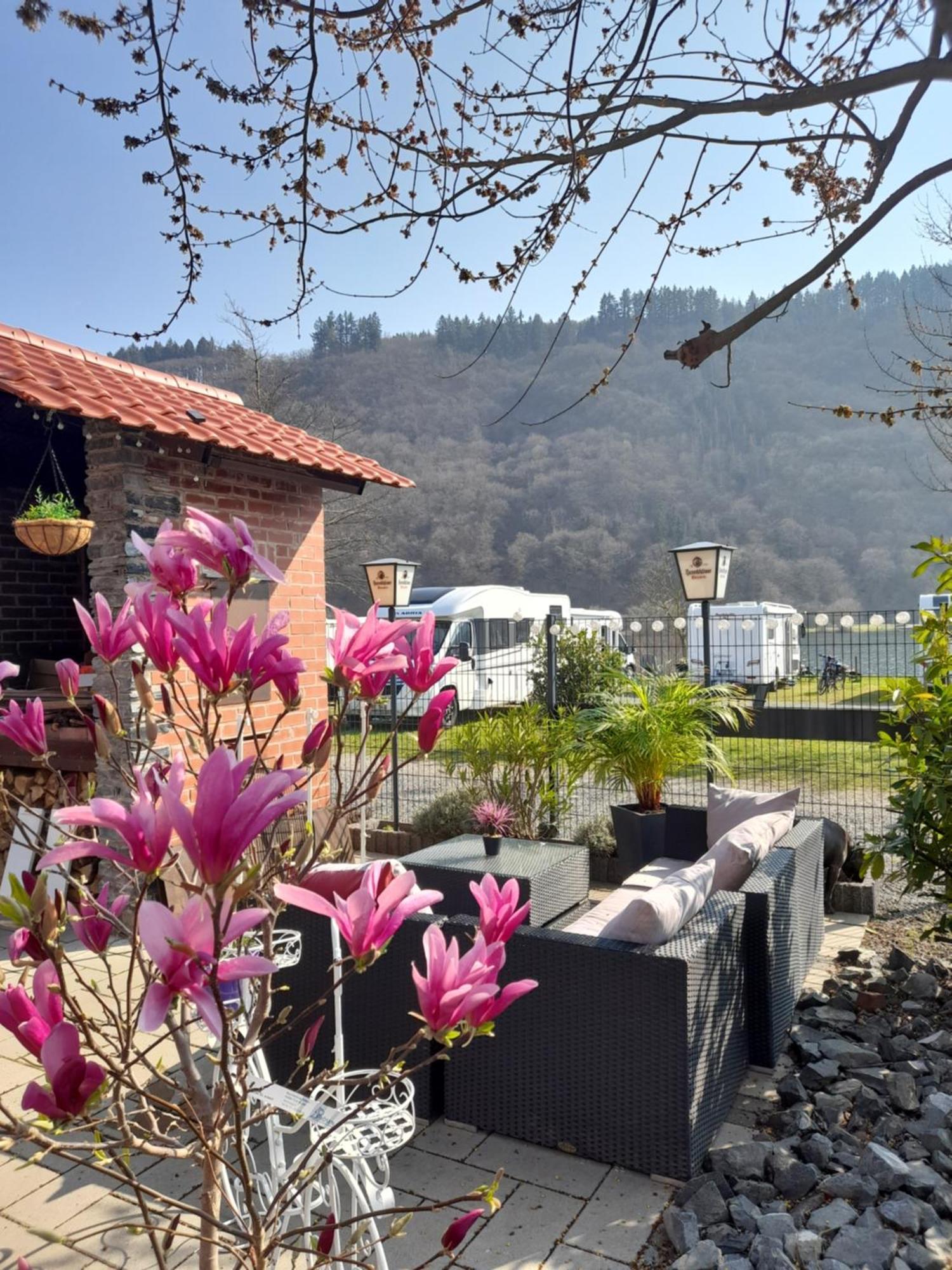 Ferienwohnungen Am Moselbeach Mehring  Kamer foto